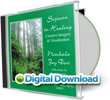 Sojourn to Healing Creative Imagery & Visualization [Digital Download] by Nischala Joy Devi