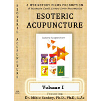 Esoteric Acupuncture DVD Vol. 1 One Disc