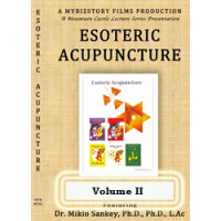 Esoteric Acupuncture DVD Vol. 2 Two Disc Set